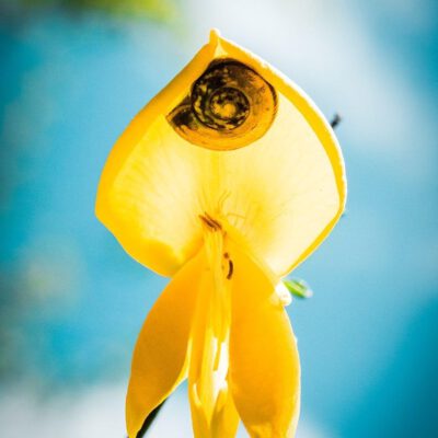 Makrofotografie - Entdeckungen in der Natur (Wadgassen)