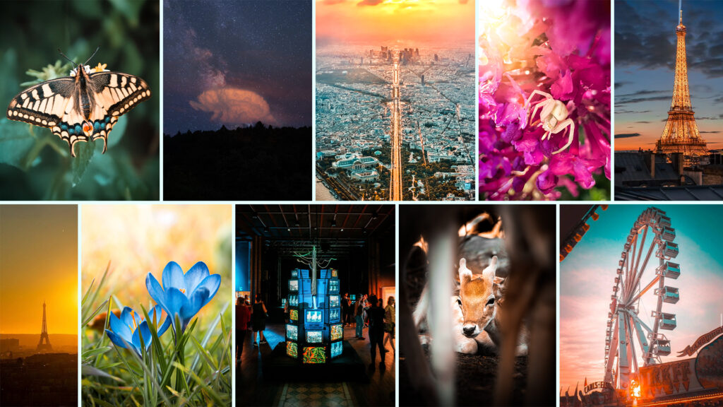 Fotografie und Film: Auch im KI-Zeitalter unverzichtbar