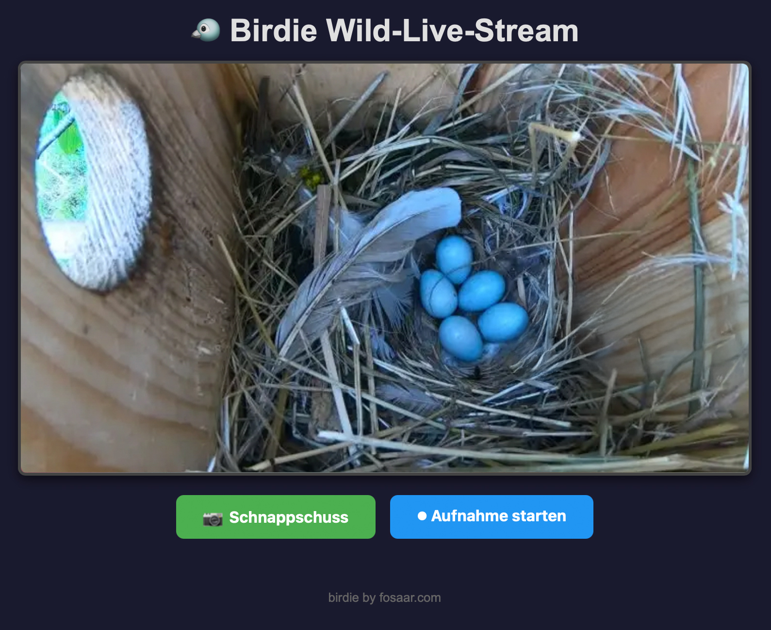 Birdie – Die Wild-Live-Kamera – Bild 4