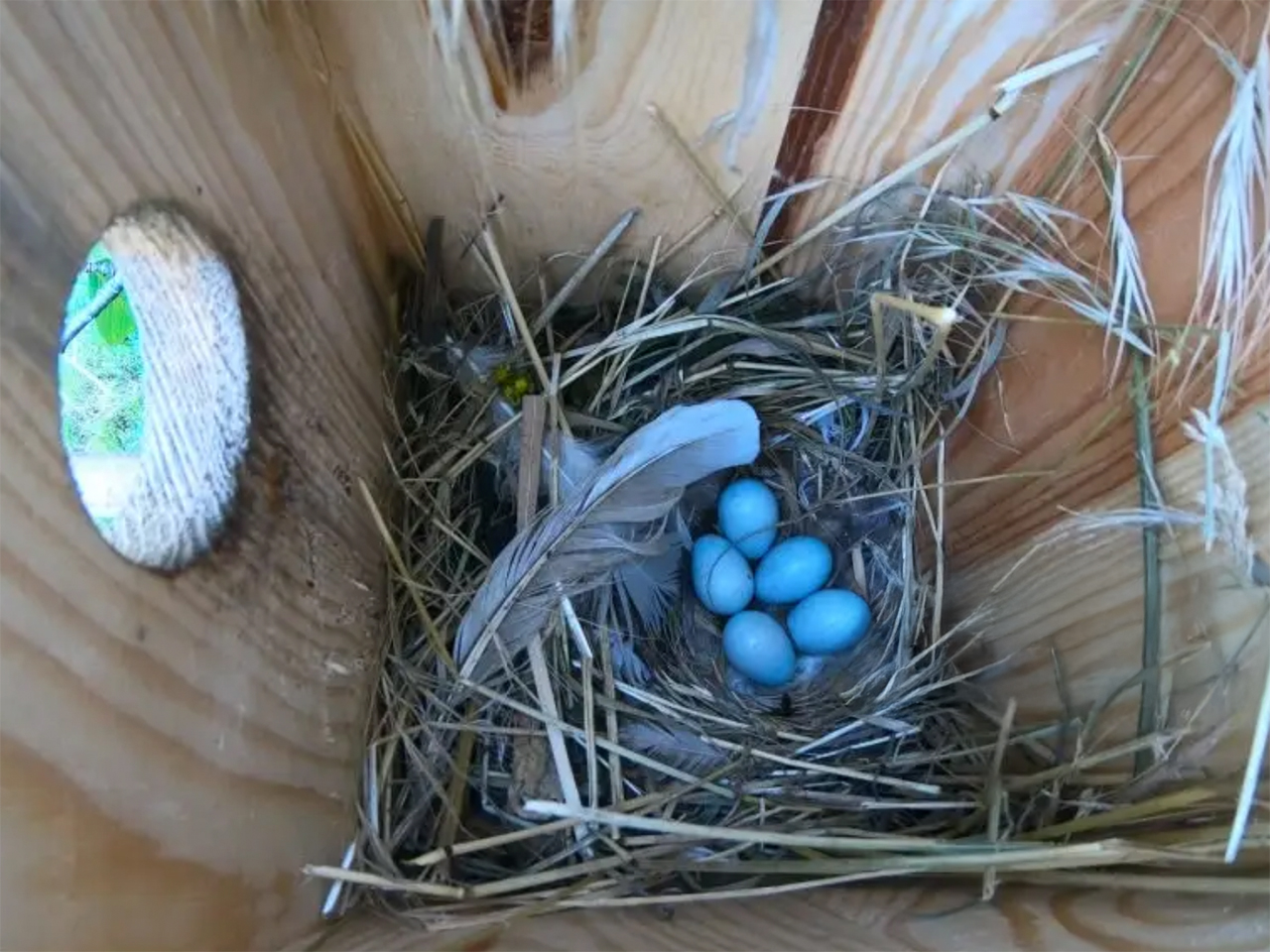 screenshot werbung beispielbild 1280