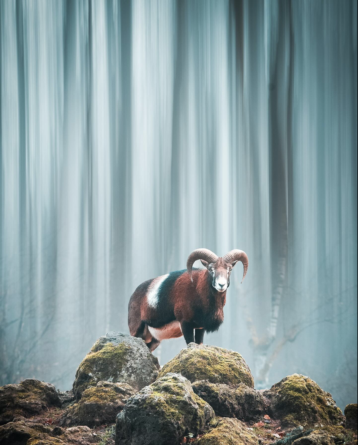 Kreative Fotografie mit Filtern – Bild 4