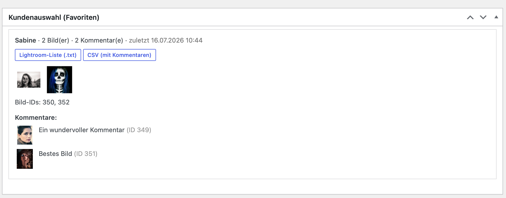 FOSAAR Gallerys Wordpress Plugin – Bild 4