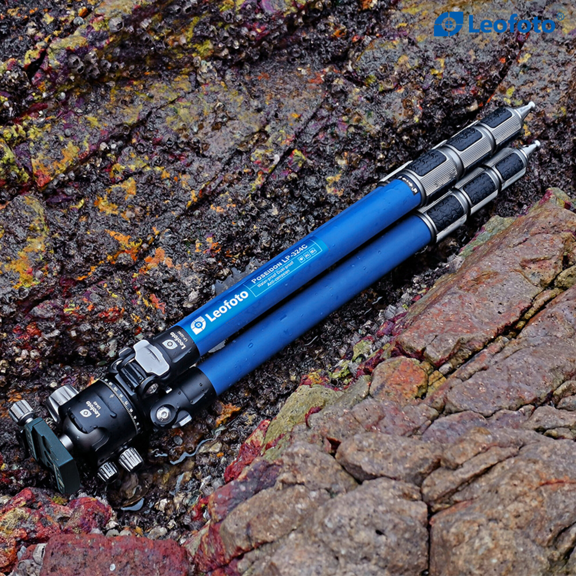 Carbon-Dreibeinstativ LP-324C Poseidon + Ballhead LH-40 – Bild 3